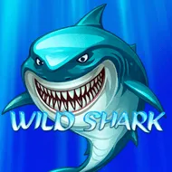 Wild Shark
