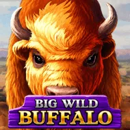 Big Wild Buffalo